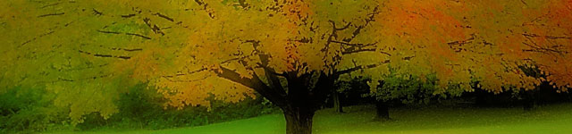 Missions of Compassion Rotating Header Image