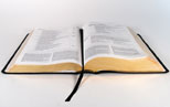 Holy Bible